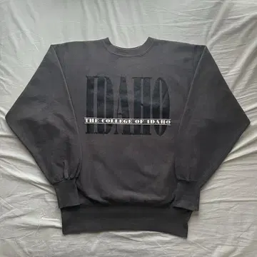 챔피온 리버스 위브 레어 컬러 IDAHO 90s 빈티지 자수