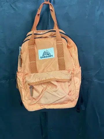 레어 컬러 그레고리 구형 택 백팩 오렌지 이지데이