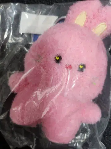 뉴진스 NewJeans 하니