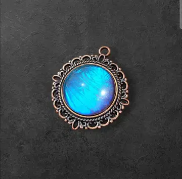 숲의 보석! 정품 모르포 나비 깃털 액세서리 탑