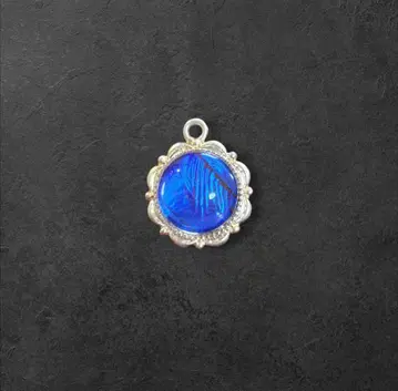 숲의 보석! 진짜 모르포 나비 날개 액세서리 탑