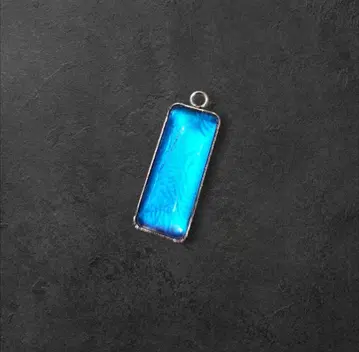 숲의 보석! 정품 모르포 나비 깃털 바 탑