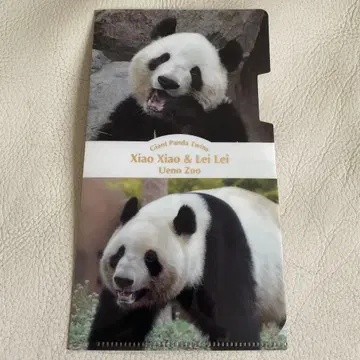 우에노 동물원 한정판 샤오샤오와 레이레이 반환 전 감사 기념 파일