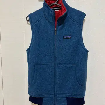 patagonia 남성용 베스트