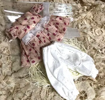 네오 브라이스 커스텀 브라이스 아웃핏 인기 작가 작가