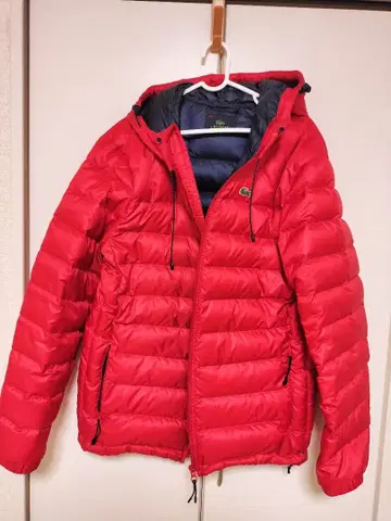 LACOSTE 후드 부착 레드 다운 자켓 175 남성 착용
