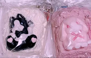 포르테 님 팬더 토끼 핑크 토끼