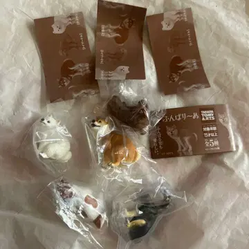 푼바리누 전 5종류 세미 컴프 가챠 시크릿 없음