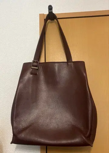 브라이트 V 토트 마더하우스 브라운