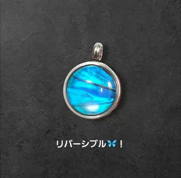 숲의 보석! 진짜 모르포 나비 날개 리버서블 탑