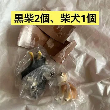 새상품 펀바리~누 펀바리~누 시바견 블랙 시바 장미 불가