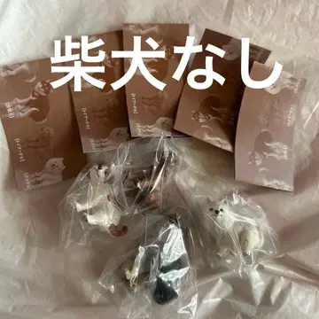 굼벵이 시바견 블랙 시바견 마스코트 토이푸들 포메라니안 잭 러셀