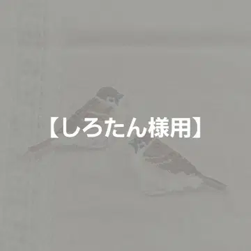 [ 시로탄 님용 ] 참새 자수 브로치