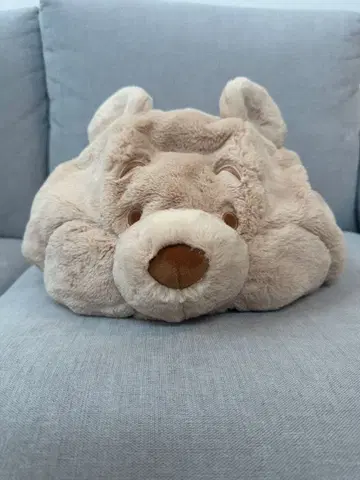 디즈니 푸우 팬캡