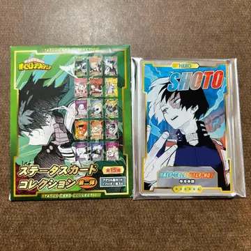 히로아카 스탯 카드 컬렉션 토도로키 쇼토