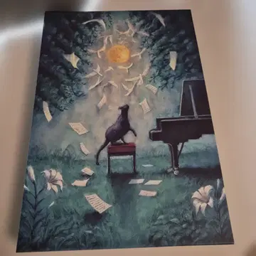 달과 고양이의 댄스 최초 한정판 DVD