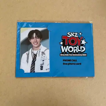 straykids 폰콜 라이브 포토카드 방찬 토이 월드