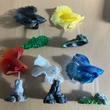 투어 5종 세트 + 덤 포함