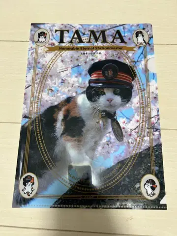 TAMA 역장 클리어 파일 벚꽃 디자인