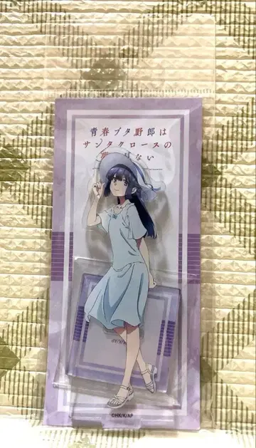 청춘 돼지 녀석 마키노하라 쇼코 빅카메라 후지사와 아크릴 스탠드