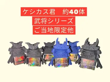케시카스 군 약 40체 무장 시리즈 지역 한정판