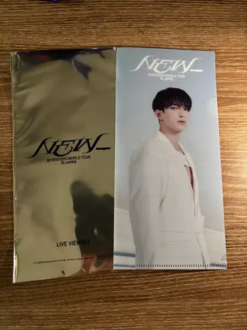 SEVENTEEN WORLD TOUR IN JAPAN 클리어 파일