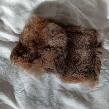 래빗 패션 넥워머