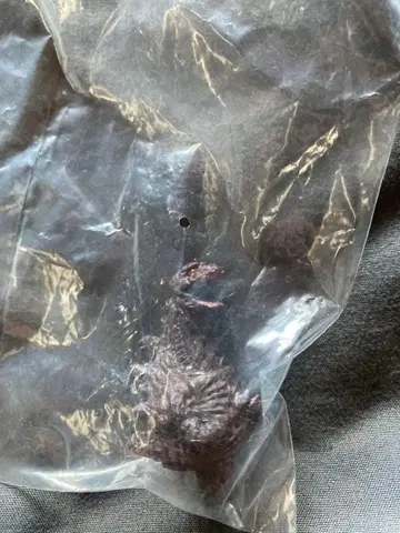 신 고질라 제4형태 HG