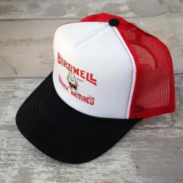 BIRDWELL LICENSE PLATE TRUCKER