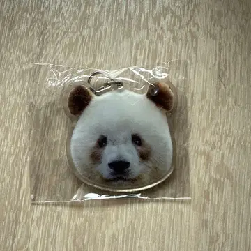 우에노 팬더 중추절 2025 치자이 아크릴 키링