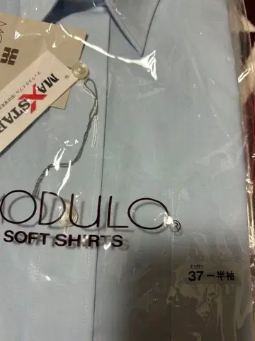 MODULO 소프트 셔츠 반팔 37