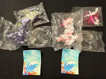 도라네츠 빙룡형 마그놀리아 문