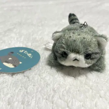 포챠누이 누마루 고양이 봉제 인형 키링