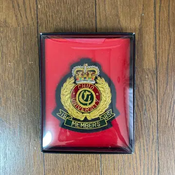 중앙대학 블레이저 엠블럼