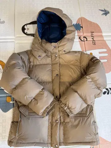 THE NORTH FACE 후드 부착 다운 자켓