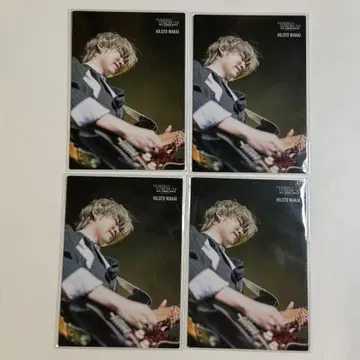 Mrs. GREEN APPLE 노아의 방주 포토 카드