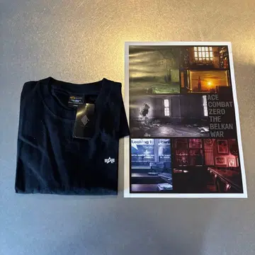 ALPHA INDUSTRIES x ACE COMBAT 티셔츠 L 포스터