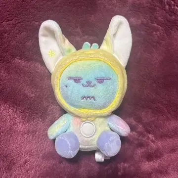 txt ppulbatu 팬춘 레인보우