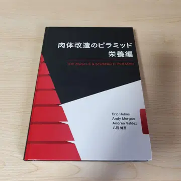 신체 개조의 피라미드 영양편