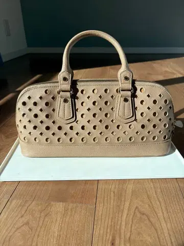 DIANA 베이지 핸드백 [ 가격 인하 가능 ]