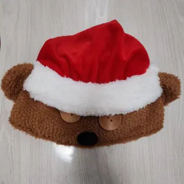 USJ 크리스마스 산타 모자 팀