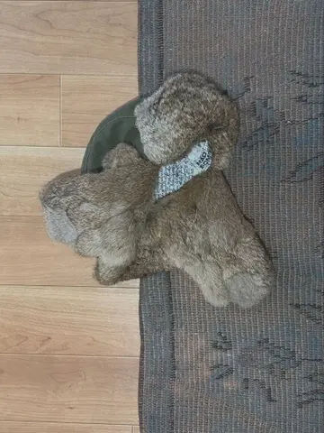 llbean 플라이트 캡