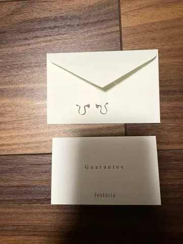 페스티벌 보야주 festaria voyage K10PG CZ 귀찌