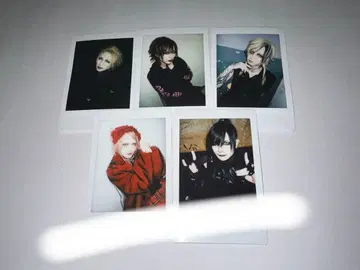 JILUKA Sena Ricko Zyean Boogie 폴라로이드