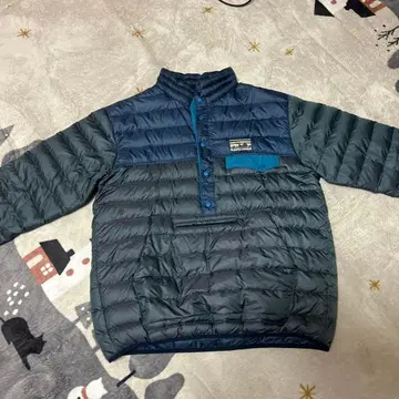 파타고니아 40주년 한정판 스냅 T 다운