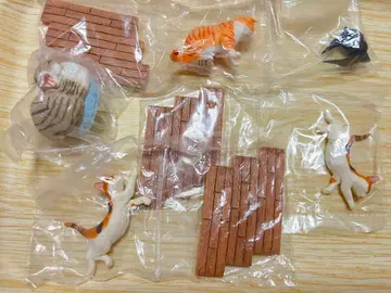 나르고 컬렉션 세트