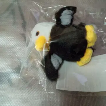 Mrs. 사용의 새 씨