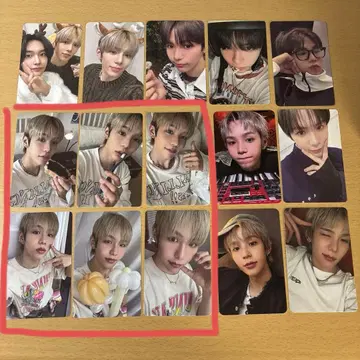 riize 쇼타로 dicon 트레이딩 카드