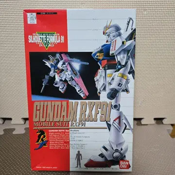 RX91 & RXF91 & 하르디건