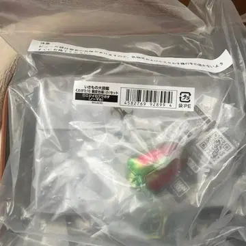 생물대도감 장수풍뎅이 10 묶음 판매